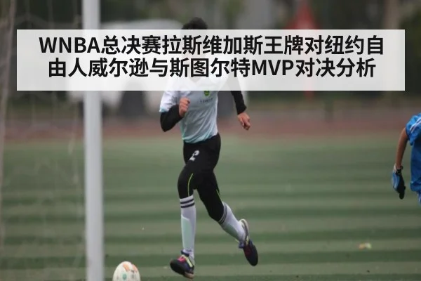WNBA总决赛拉斯维加斯王牌对纽约自由人威尔逊与斯图尔特MVP对决分析