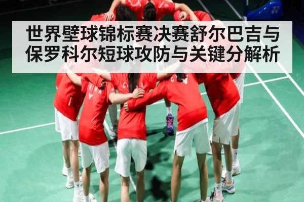 世界壁球锦标赛决赛舒尔巴吉与保罗科尔短球攻防与关键分解析